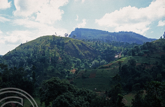 17222. Landscape around Ella. Sri Lanka. 02.01.04