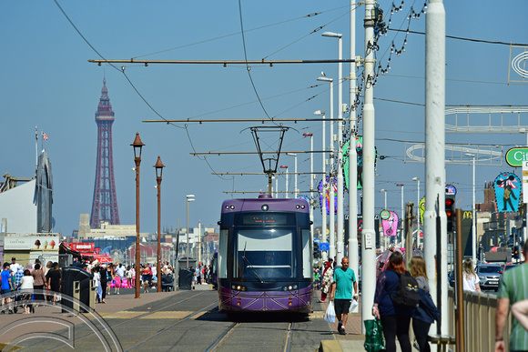 DG376537. Tram 013. The promenade. Blackpool. 11.8.2022.