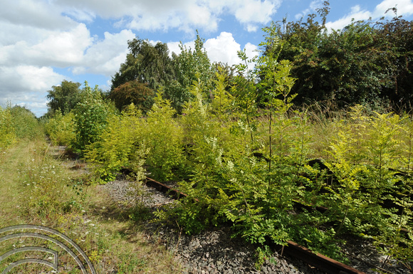 DG89809. E-W Rail. Site of Verney Junction station. 11.8.2011.