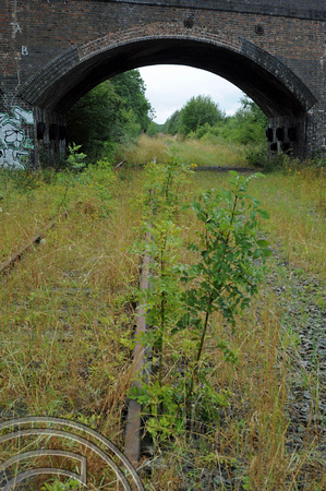 DG89694. E-W rail. Whaddon Rd. Newton Longville. Buckinghamshire. 11.8.2011.