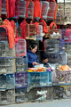 DG71955. Selling birds. Old Town. Hanoi. Vietnam. 8.1.11.
