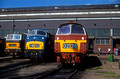 02910. D7018. D821. Old Oak Common depot open day. 18.08.1991