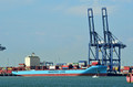 DG349915. Container ship. Vouski Maersk. 39819dwt. Built 2018. Felixtowe Port. Suffolk. England. 8.6.2021.