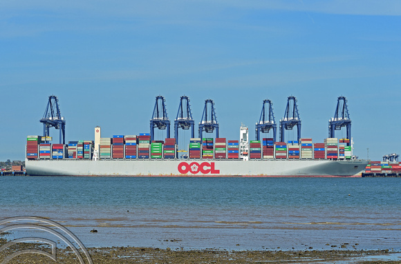 DG349900. Container ship. OOCL Scandanavia. 191343dwt. Built 2017. Felixtowe Port. Suffolk. England. 8.6.2021.