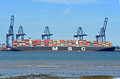 DG349901. Container ship. MSC London. 186650dwt. Built 2014. Felixtowe Port. Suffolk. England. 8.6.2021.