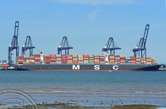 DG349901. Container ship. MSC London. 186650dwt. Built 2014. Felixtowe Port. Suffolk. England. 8.6.2021.