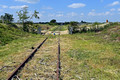 DG352074. E-W rail looking East from Poors Piece woods. Steeple Claydon. Buckinghamshire. 23.6.2021.
