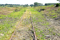 DG352077. E-W rail looking East from Poors Piece woods. Steeple Claydon. Buckinghamshire. 23.6.2021.