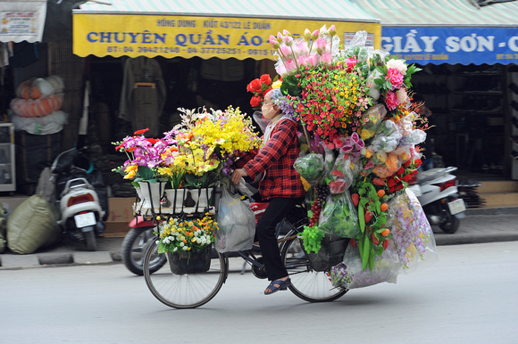 DG71987. Flower bike. Hanoi. Vietnam. 8.1.11.