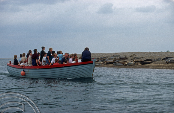 T5976. Seal watching. Blakeney. Norfolk. England. 24th August 1997