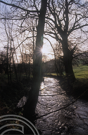 T04155. River, trees and sunlight. North Yorkshire. November 1992