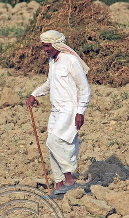 DG291361. Old farmer. Rajasthan. India. 4.3.18