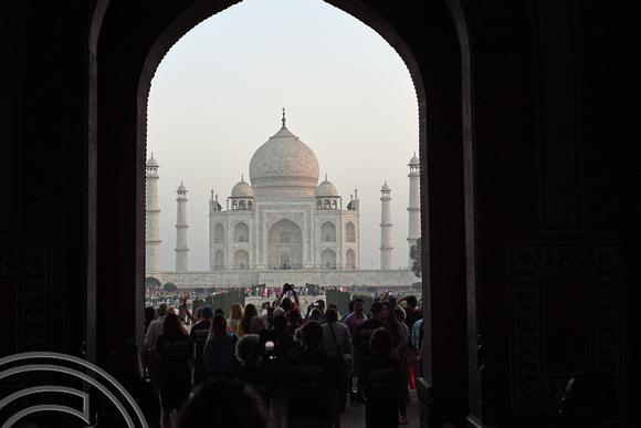 DG291423. The Taj Mahal. Agra. India. 4.3.18