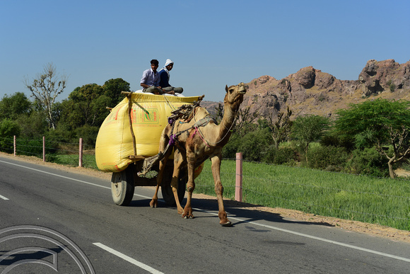 DG291739. Camel cart. Rajasthan. India. 6.3.18