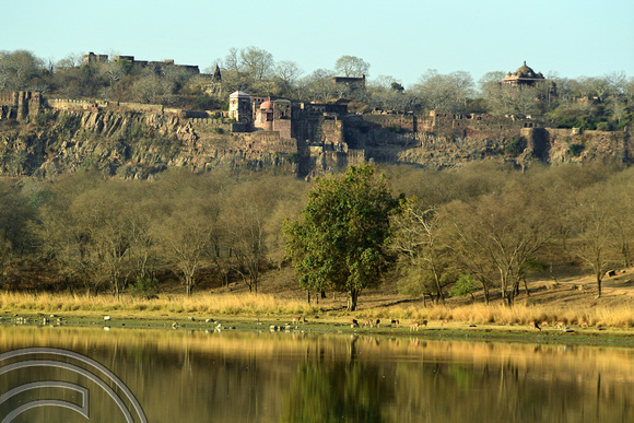 DG292169. View of the first from Ranthambore National Park. Rajasthan. India. 8.3.18