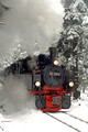 FDG05131. 99 5901. Drei Annan Hohne. Harz railway. Germany. 10.2.07