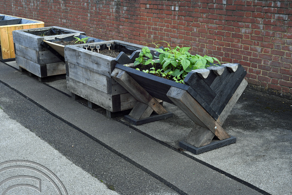 DG403811. Planters for wheelchair users. St Denys. 29.9.2023.