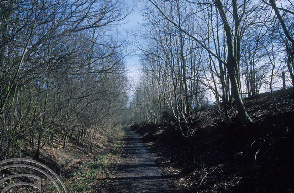 Walking along the Ayot Greenway an old railway line. Hertfordshire. 2nd March 1997