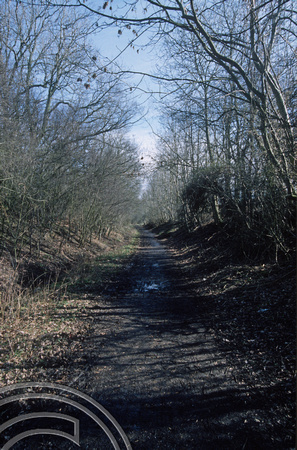 Walking the Ayot Greenway an old railway line. Hertfordshire. 2nd March 1997