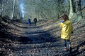 Walking the Ayot Greenway, and old railway line. Hertfordshire. 2nd March 1997