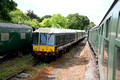 DG421634. 555028. Corfe Castle. 4.7.2024.