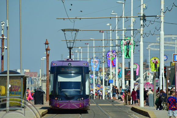 DG376536. Tram 006. The promenade. Blackpool. 11.8.2022.