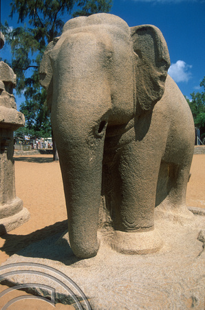 T6619. One of the 5 Rathas. Mahabalipuram. Tamil Nadu. India. February 1998