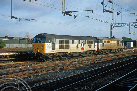 05397. 31105. 31537. Stabled in the yard. Rugby. 19.11.95