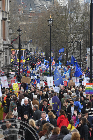 DG320412. Anti Brexit march. London. 24.3.19