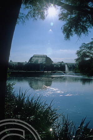 T5341. The Palm House. Kew gardens. London. England. August 1995.