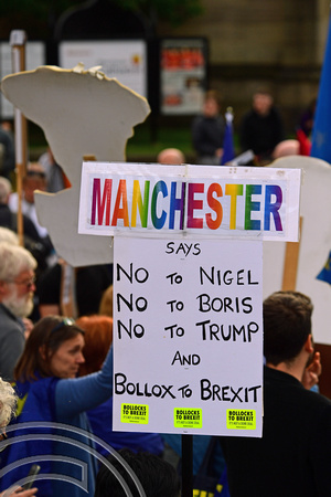 DG324651. Anti President Trump demonstration. Manchester. 3.6.19.