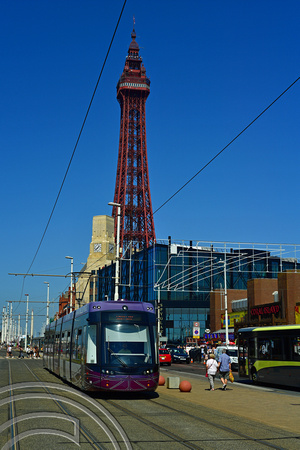 DG376600. Tram 008. The promenade. Blackpool. 11.8.2022.