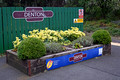 DG428257. Flowerbeds. Denton station. 21.9.2024.