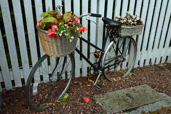 DG186391. Bike planter. North Berwick. 16.7.14.