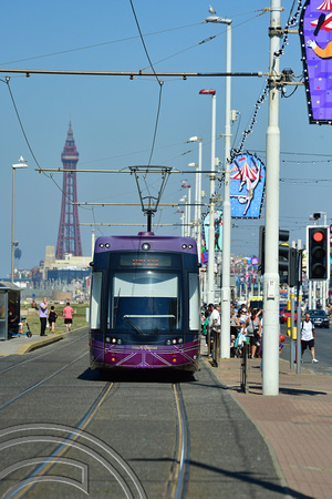 DG376551. Tram 007. The promenade. Blackpool. 11.8.2022.