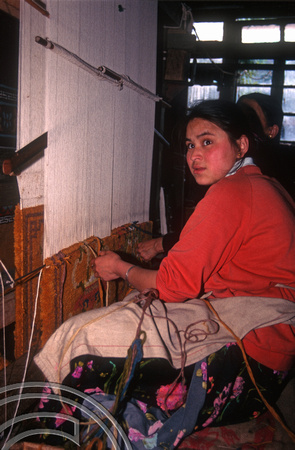 T6939. Carpetmaking at the Tibetan refugee centre. Darjeeling. West Bengal. India. April.1998.