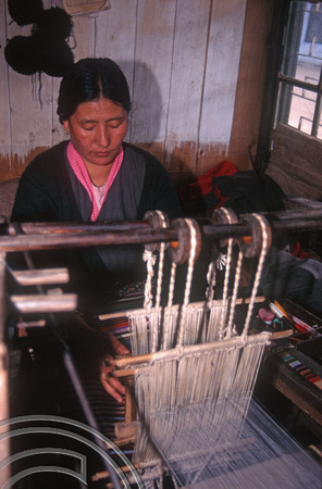 T6953. Weaver at the Tibetan refugee centre. Darjeeling. West Bengal. India. April.1998.