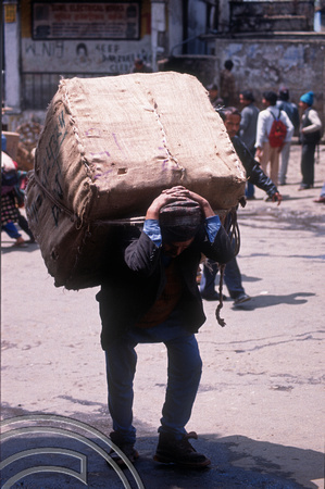 T6982. Porter with large load. Darjeeling. West Bengal. India. April.1998.