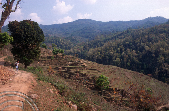 T7074. Valley near Chorkot. Gorkha. Nepal. April.1998.