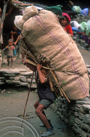 T7090.  Porter with large load. Gorkha district. Nepal. April.1998.