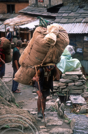 T7091.  Porter with large load. Gorkha district. Nepal. April.1998.