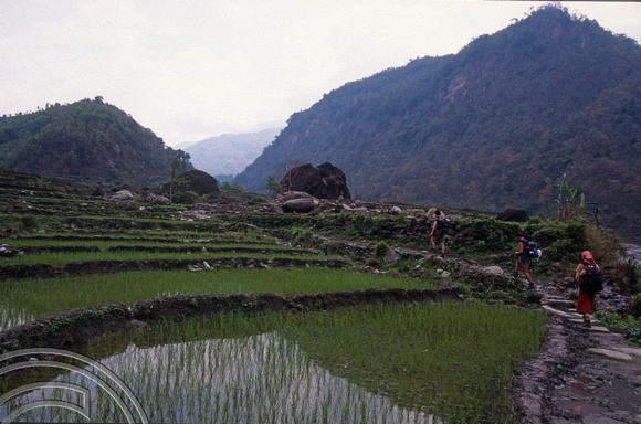 T7081.Trekking up to Barpak. Gorkha district. Nepal. April.1998.