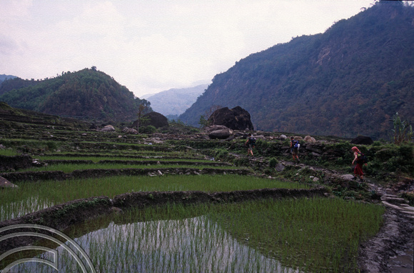 T7082.Trekking up to Barpak. Gorkha district. Nepal. April.1998.