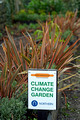 DG408407. Climate change Garden. Brighouse. 4.1.2024.