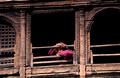 T3270. Woman at Monkey Temple. Kathmandu. Nepal. 1992.