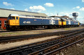 02924. 47465. 47636. Old Oak Common open day. 18.08.1991