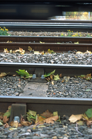 13166. Dead leaves on the tracks. Hornsey. 03.11.2003