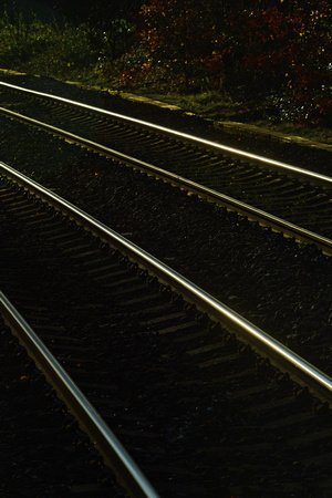 DG337243. Sunlight on the tracks. Todmorden. 18.11.19.