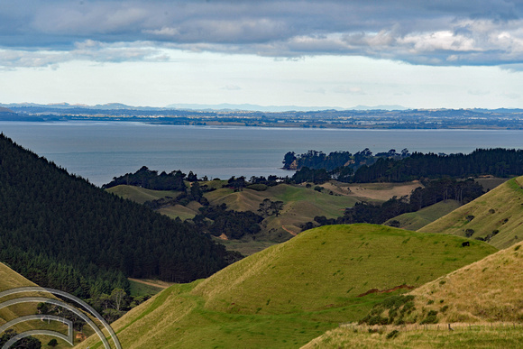 DG318219. Landscape near Manukau Heads. North Island. New Zealand. 26.1.19