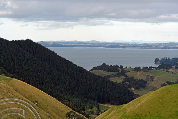 DG318218. Landscape near Manukau Heads. North Island. New Zealand. 26.1.19
